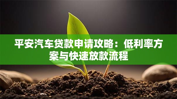 平安汽车贷款申请攻略：低利率方案与快速放款流程