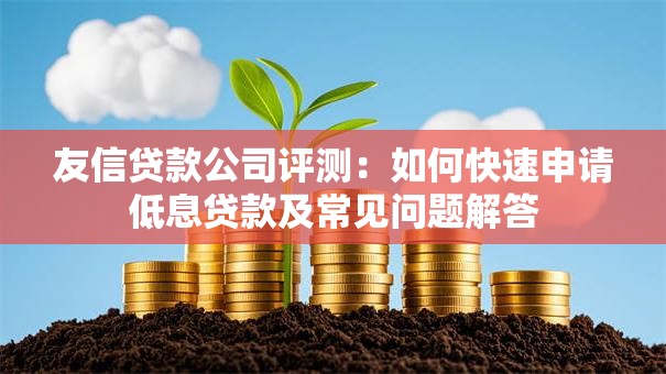 友信贷款公司评测：如何快速申请低息贷款及常见问题解答