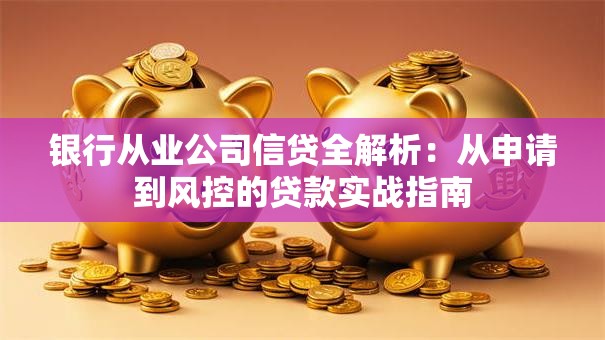银行从业公司信贷全解析：从申请到风控的贷款实战指南