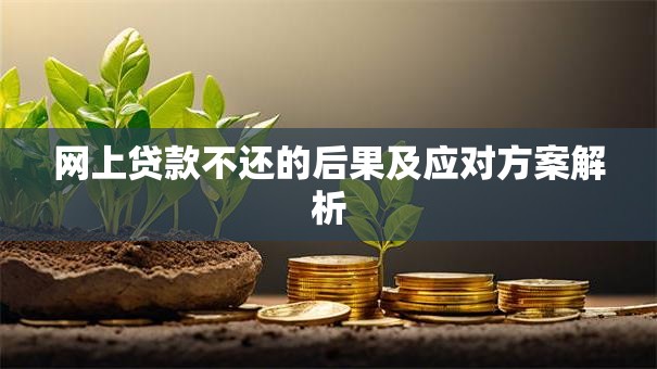 网上贷款不还的后果及应对方案解析
