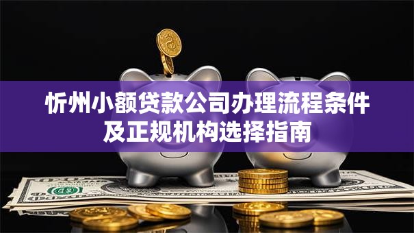 忻州小额贷款公司办理流程条件及正规机构选择指南