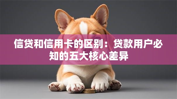 信贷和信用卡的区别：贷款用户必知的五大核心差异