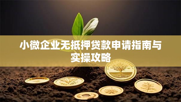 小微企业无抵押贷款申请指南与实操攻略