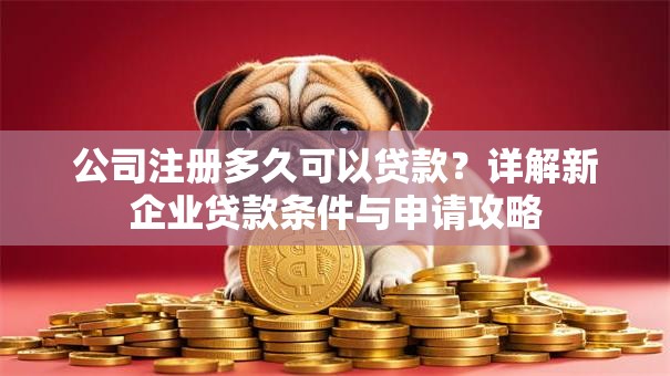 公司注册多久可以贷款？详解新企业贷款条件与申请攻略