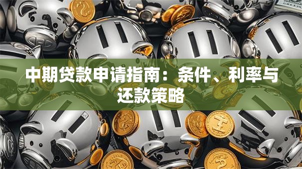 中期贷款申请指南：条件、利率与还款策略