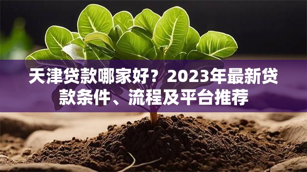 天津贷款哪家好？2023年最新贷款条件、流程及平台推荐