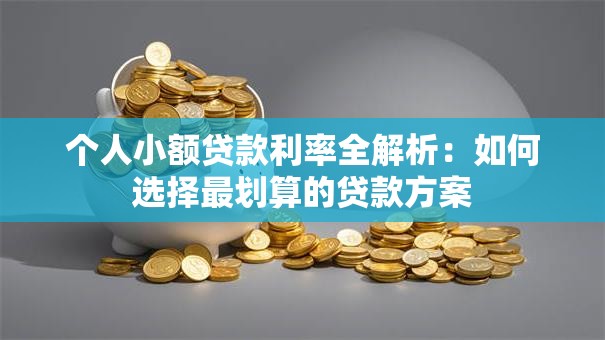个人小额贷款利率全解析：如何选择最划算的贷款方案