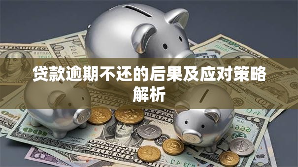 贷款逾期不还的后果及应对策略解析