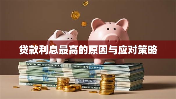 贷款利息最高的原因与应对策略