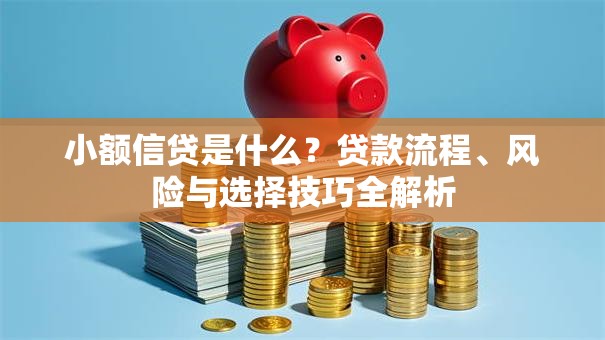 小额信贷是什么？贷款流程、风险与选择技巧全解析