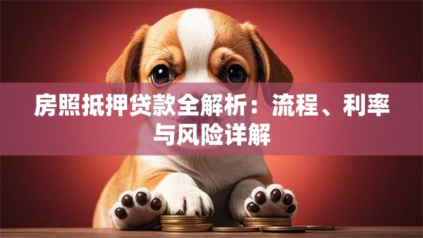 房照抵押贷款全解析：流程、利率与风险详解