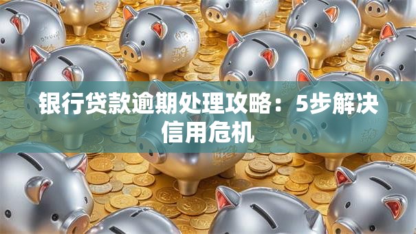 银行贷款逾期处理攻略：5步解决信用危机