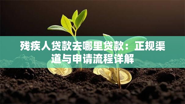 残疾人贷款去哪里贷款：正规渠道与申请流程详解