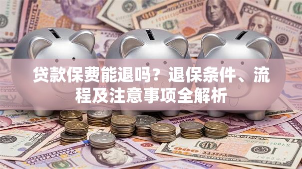 贷款保费能退吗？退保条件、流程及注意事项全解析