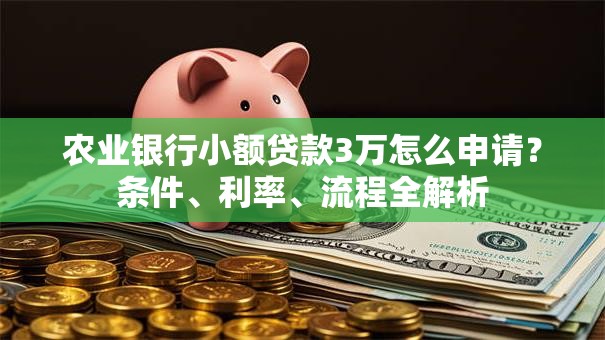 农业银行小额贷款3万怎么申请？条件、利率、流程全解析