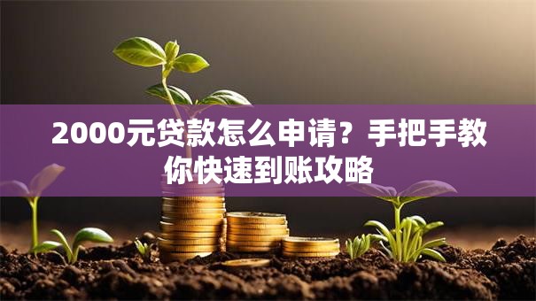 2000元贷款怎么申请？手把手教你快速到账攻略
