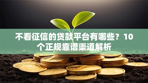 不看征信的贷款平台有哪些？10个正规靠谱渠道解析