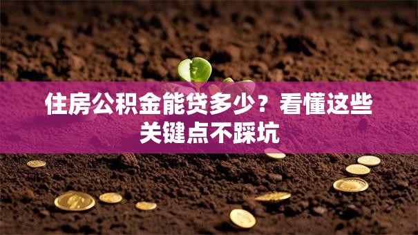 住房公积金能贷多少？看懂这些关键点不踩坑