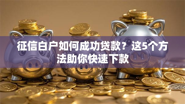 征信白户如何成功贷款？这5个方法助你快速下款