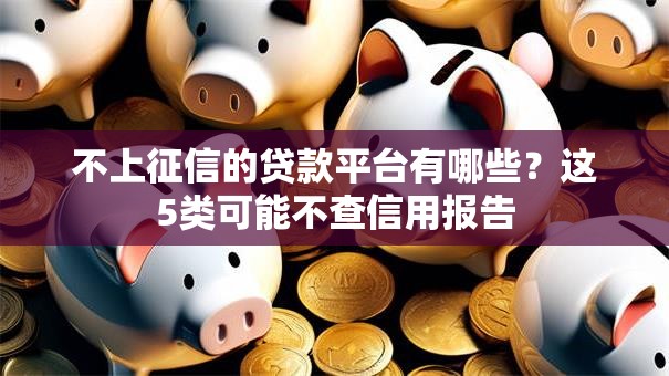 不上征信的贷款平台有哪些？这5类可能不查信用报告