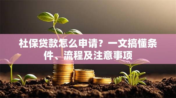社保贷款怎么申请？一文搞懂条件、流程及注意事项