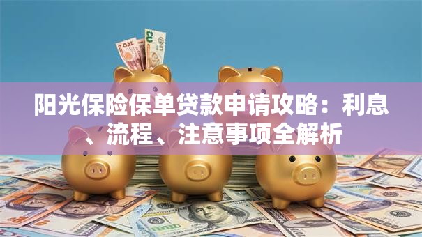 阳光保险保单贷款申请攻略：利息、流程、注意事项全解析