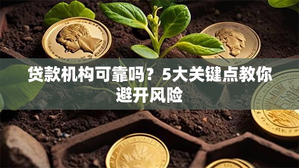 贷款机构可靠吗？5大关键点教你避开风险