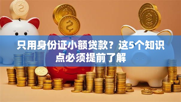 只用身份证小额贷款？这5个知识点必须提前了解