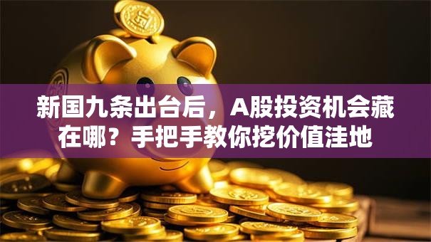 新国九条出台后，A股投资机会藏在哪？手把手教你挖价值洼地