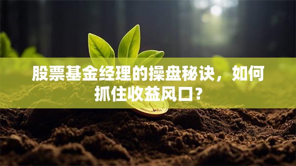 股票基金经理的操盘秘诀，如何抓住收益风口？