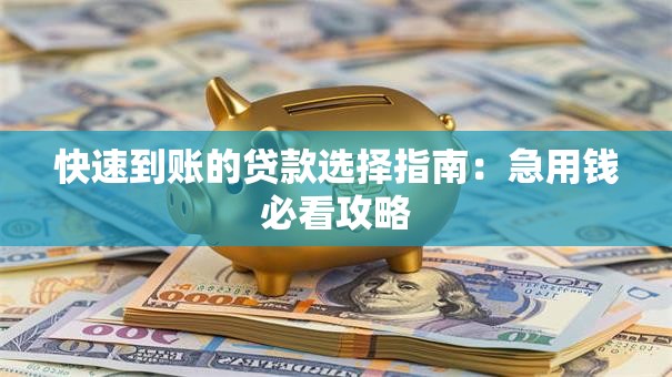 快速到账的贷款选择指南：急用钱必看攻略