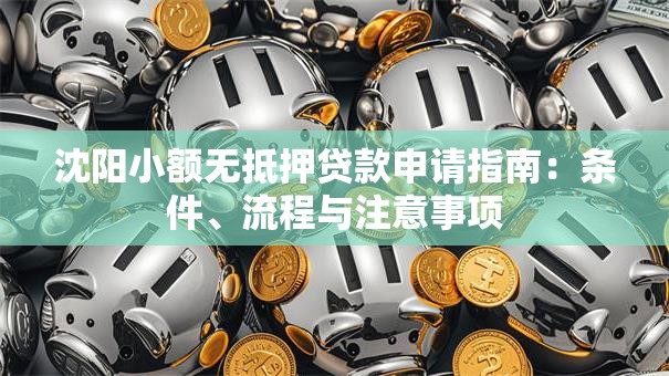 沈阳小额无抵押贷款申请指南：条件、流程与注意事项