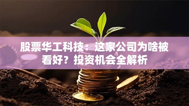 股票华工科技：这家公司为啥被看好？投资机会全解析