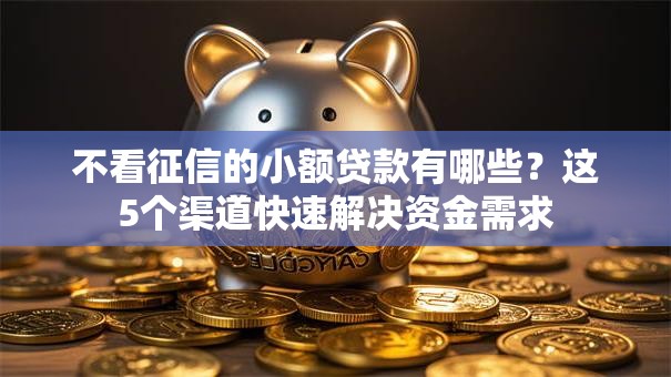 不看征信的小额贷款有哪些？这5个渠道快速解决资金需求