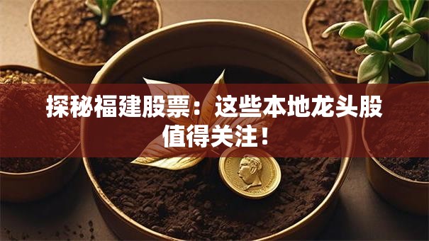探秘福建股票：这些本地龙头股值得关注！