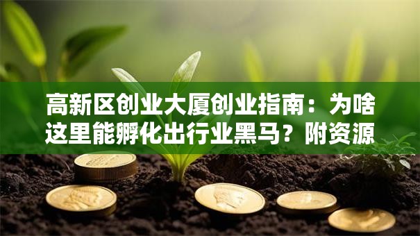 高新区创业大厦创业指南：为啥这里能孵化出行业黑马？附资源+干货