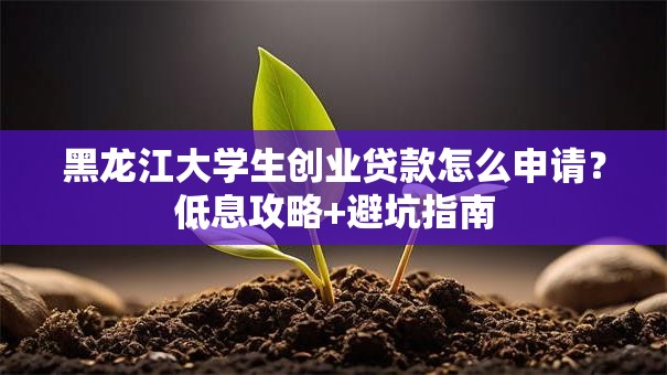 黑龙江大学生创业贷款怎么申请？低息攻略+避坑指南
