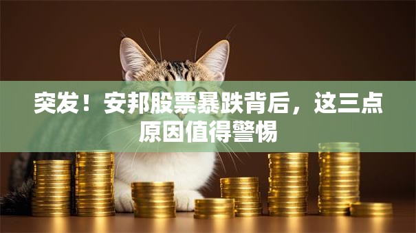 突发！安邦股票暴跌背后，这三点原因值得警惕