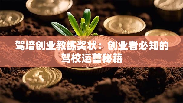 驾培创业教练奖状：创业者必知的驾校运营秘籍