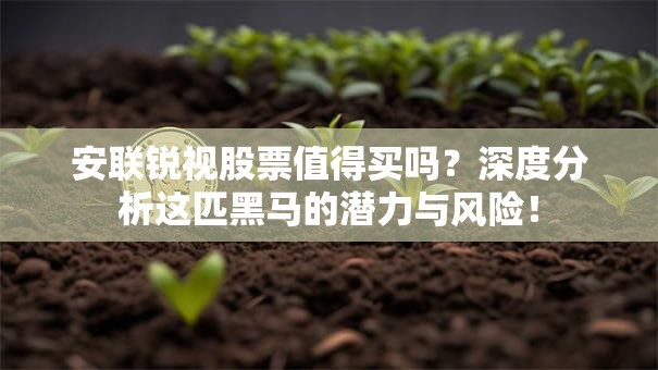 安联锐视股票值得买吗？深度分析这匹黑马的潜力与风险！