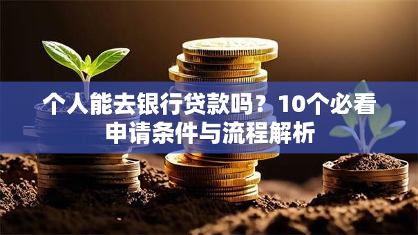 个人能去银行贷款吗？10个必看申请条件与流程解析