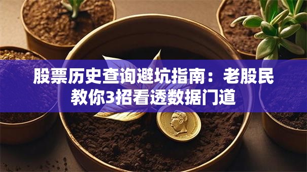股票历史查询避坑指南：老股民教你3招看透数据门道