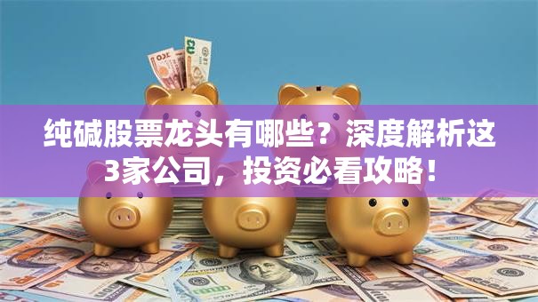 纯碱股票龙头有哪些？深度解析这3家公司，投资必看攻略！