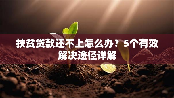 扶贫贷款还不上怎么办？5个有效解决途径详解