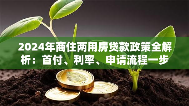 2024年商住两用房贷款政策全解析：首付、利率、申请流程一步到位