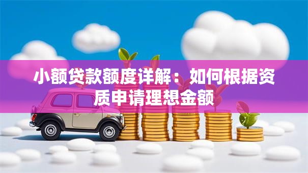 小额贷款额度详解：如何根据资质申请理想金额