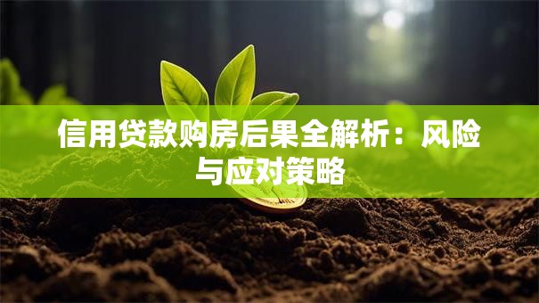 信用贷款购房后果全解析：风险与应对策略
