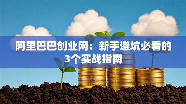 阿里巴巴创业网：新手避坑必看的3个实战指南