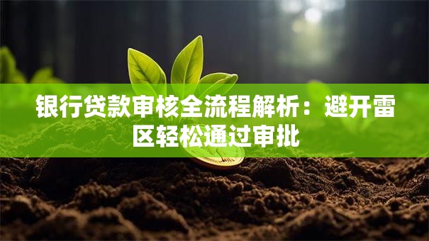 银行贷款审核全流程解析：避开雷区轻松通过审批
