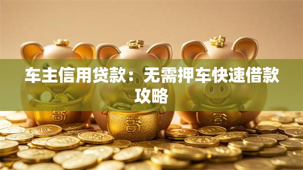 车主信用贷款：无需押车快速借款攻略